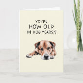 Carte d'anniversaire des années de chien (Devant)