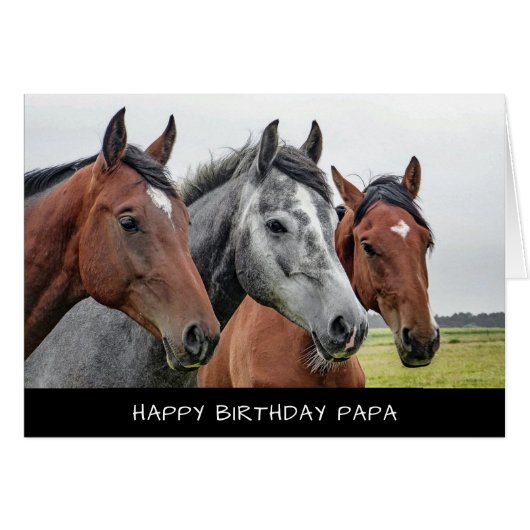 Carte d'anniversaire des chevaux (Devant Horizontal)