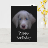 Carte d'anniversaire des chiots bleus (Fleur jaune)
