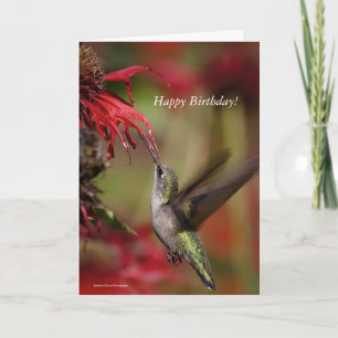 Carte d'anniversaire des colibris