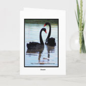 Carte d'anniversaire des cygnes noirs (Dos)
