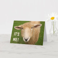 Carte d'anniversaire des moutons doux