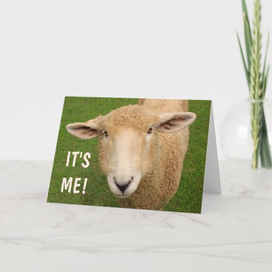 Carte d'anniversaire des moutons doux (Devant)