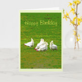 Carte d'anniversaire des poules blanches (Fleur jaune)