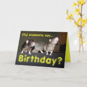 carte d'anniversaire des rats mignons (Fleur jaune)