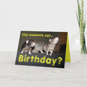 carte d'anniversaire des rats mignons