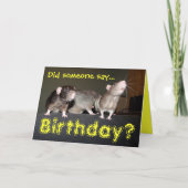 carte d'anniversaire des rats mignons (Devant)