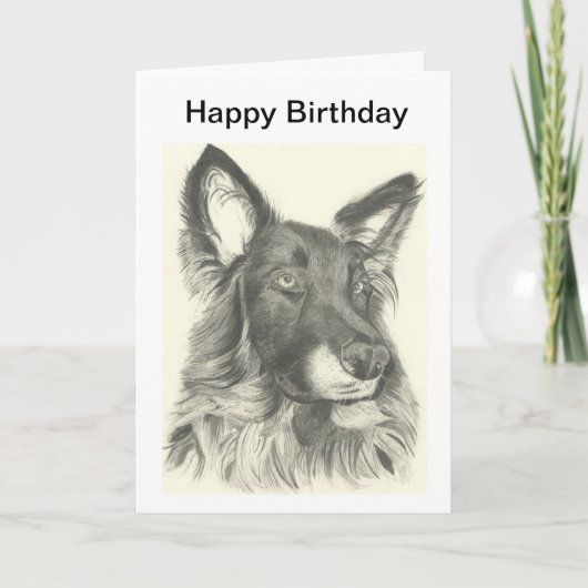 Carte d'anniversaire dessin au crayon d'un berger (Devant)