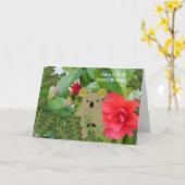 Carte d'anniversaire détente Koala (Fleur jaune)