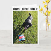 Carte d'anniversaire d'humour de chien (Fleur jaune)