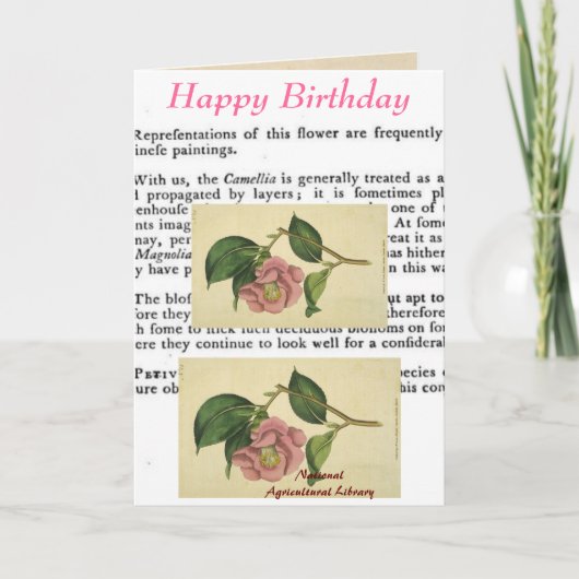 Carte d'anniversaire d'impression botanique (Devant)