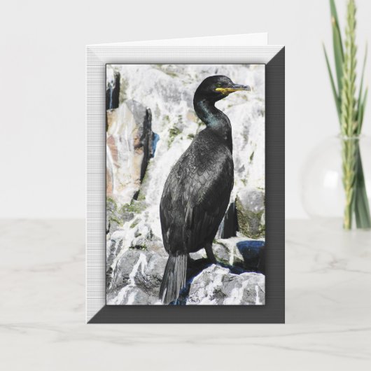 Carte d'anniversaire d'oiseau de tapis à longs (Devant)