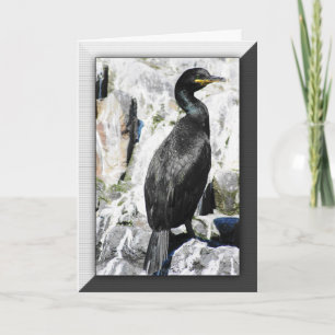 Carte d'anniversaire d'oiseau de tapis à longs