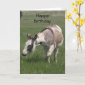 Carte d'anniversaire Donkey (Fleur jaune)