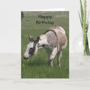 Carte d'anniversaire Donkey