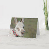 Carte d'anniversaire Donkey (Dos)