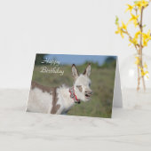 Carte d'anniversaire Donkey (Fleur jaune)