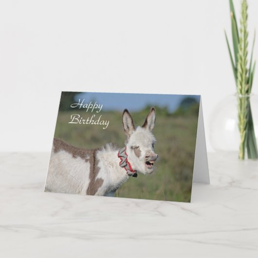 Carte d'anniversaire Donkey (Devant)