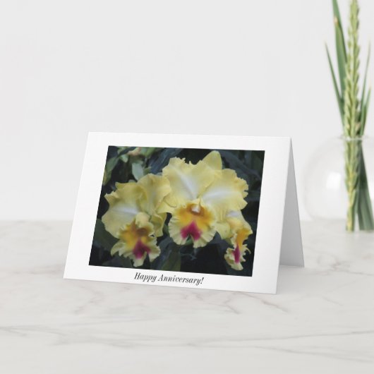 Carte d'anniversaire d'orchidée (Devant)