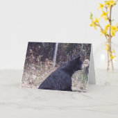 Carte d'anniversaire d'ours (Fleur jaune)