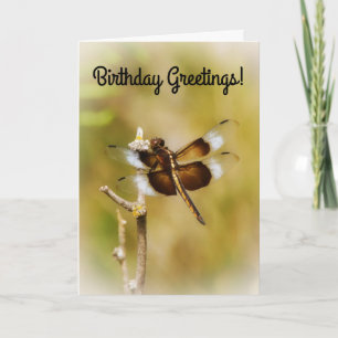 Carte d'anniversaire Dragonfly Nature