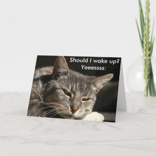 Carte d'anniversaire drôle avec chat : Devrais-je 