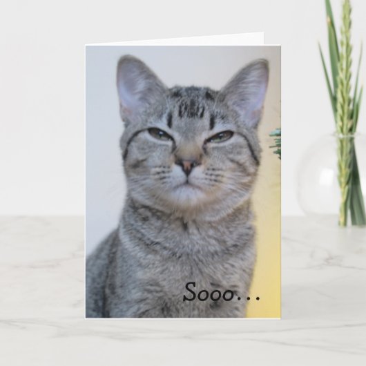 Carte d'anniversaire drôle avec chat suspect (Devant)