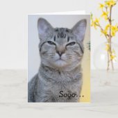 Carte d'anniversaire drôle avec chat suspect (Fleur jaune)