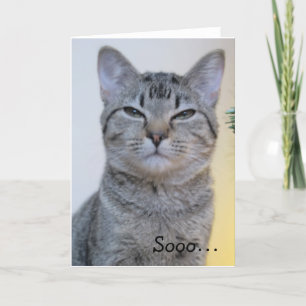 Carte d'anniversaire drôle avec chat suspect