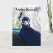 Carte d'anniversaire drôle avec photo de paon bleu (Devant)
