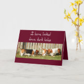 Carte d'anniversaire drôle avec recherche Basset H (Fleur jaune)