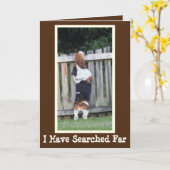 Carte d'anniversaire drôle avec recherche mignonne (Fleur jaune)