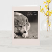 Carte d'anniversaire drôle beagle (Fleur jaune)