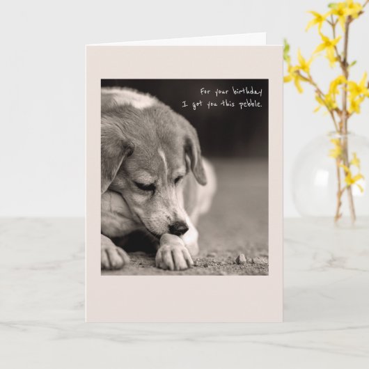 Carte d'anniversaire drôle beagle (Fleur jaune)