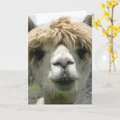 CARTE D'ANNIVERSAIRE DRÔLE D'ALPACA (Fleur jaune)