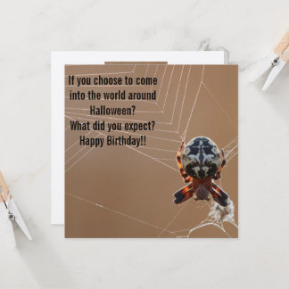Carte d'anniversaire drôle d'araignée pour Hallowe