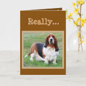 Carte d'anniversaire drôle de "années de chien" de (Fleur jaune)