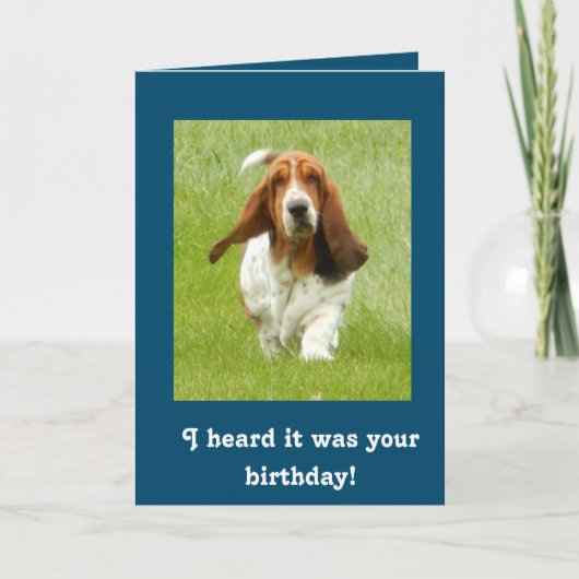 Carte d'anniversaire drôle de Basset Hound (Devant)