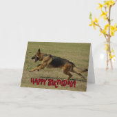 Carte d'anniversaire drôle de berger allemand (Fleur jaune)