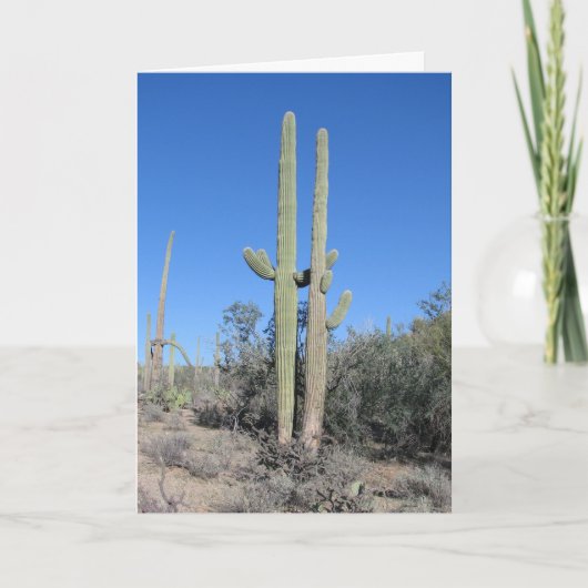 Carte d'anniversaire drôle de cactus (Devant)