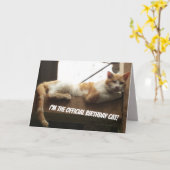 Carte d'anniversaire drôle de chat (Fleur jaune)