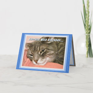 Carte d'anniversaire drôle de chat
