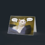 Carte d'anniversaire drôle de chat blanc<br><div class="desc">Les chats savent célébrer !</div>