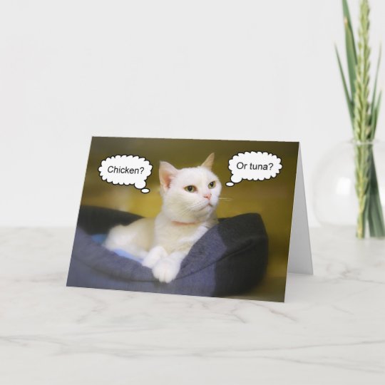 Carte D Anniversaire Drole De Chat Blanc Zazzle Be