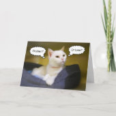 Carte d'anniversaire drôle de chat blanc (Devant)