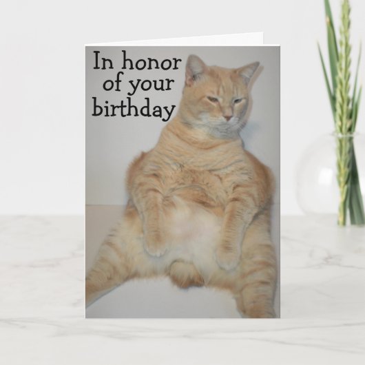 Carte d'anniversaire drôle de chat Manx gras assis (Devant)
