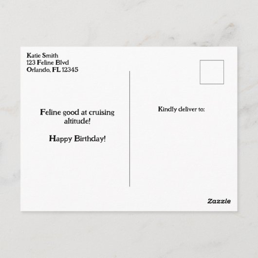 Carte d'anniversaire drôle de chat pilote et d'avi (Dos)