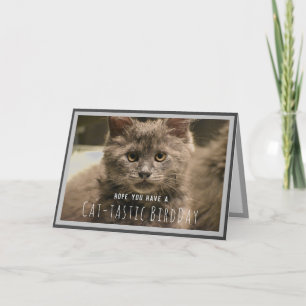 Carte d'anniversaire drôle de chaton gris super mi