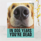 CARTE D'ANNIVERSAIRE DRÔLE DE CHIEN (Fleur jaune)