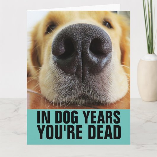 CARTE D'ANNIVERSAIRE DRÔLE DE CHIEN (Devant)